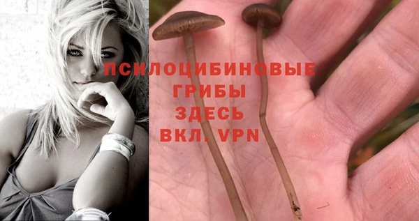 прущая мука Алексин