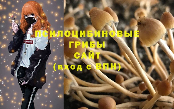 ешки Алексеевка