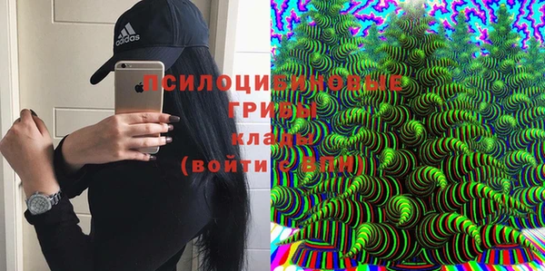 ешки Алексеевка