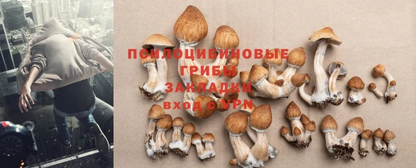прущая мука Алексин