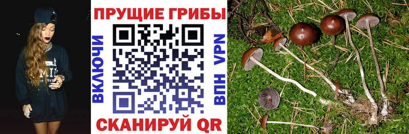 Псилоцибиновые грибы мухоморы  Билибино 
