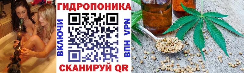 магазин продажи наркотиков  даркнет состав  Бошки Шишки MAZAR  Билибино 